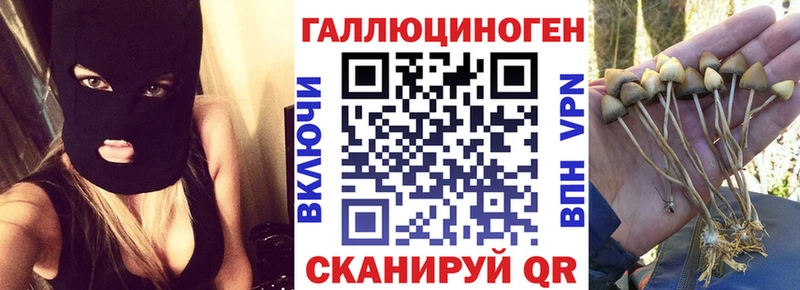 Псилоцибиновые грибы прущие грибы  Керчь 