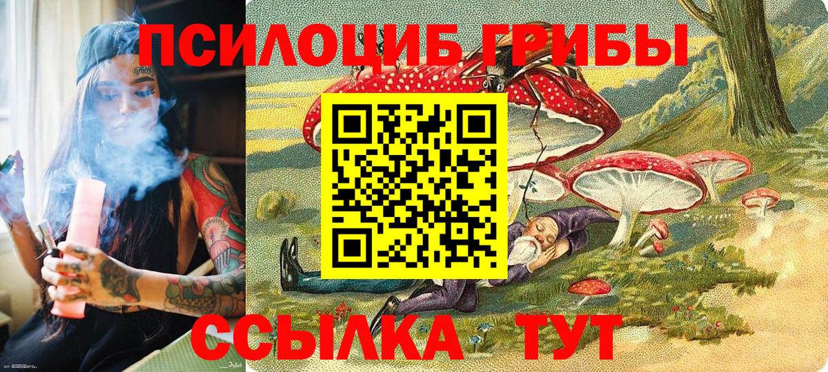 цены   Галлюциногенные грибы Psilocybine cubensis  Вход с VPN  Керчь 