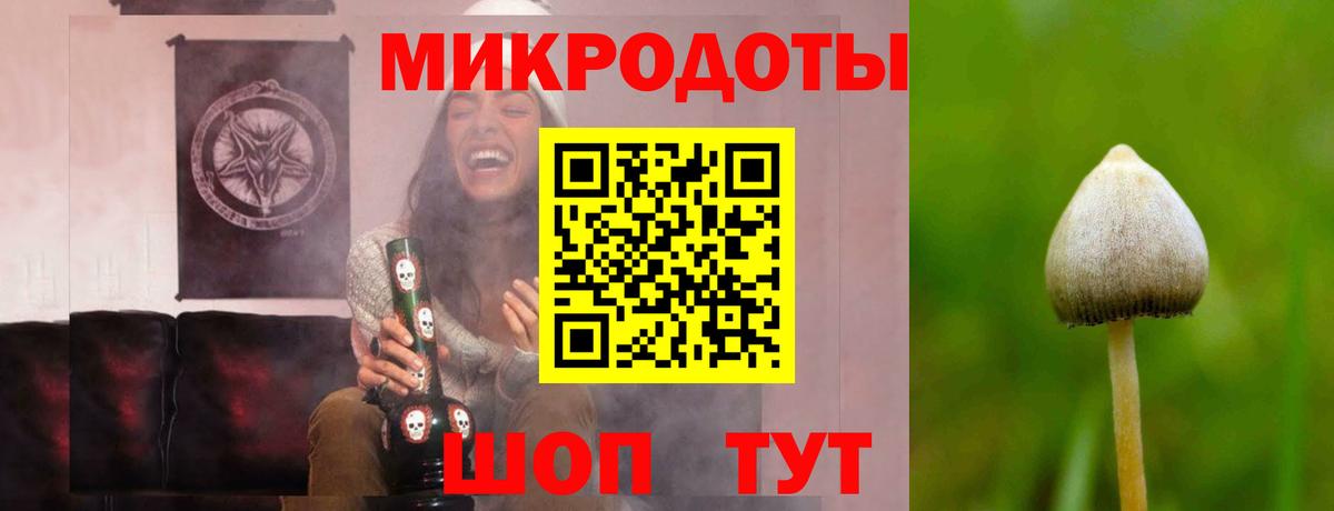 Псилоцибиновые грибы Magic Shrooms Керчь